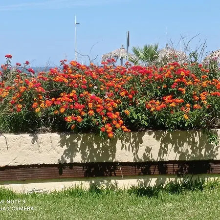 Apartment Ktima Althea *